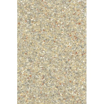 Tark2005710006 Tark2005710006